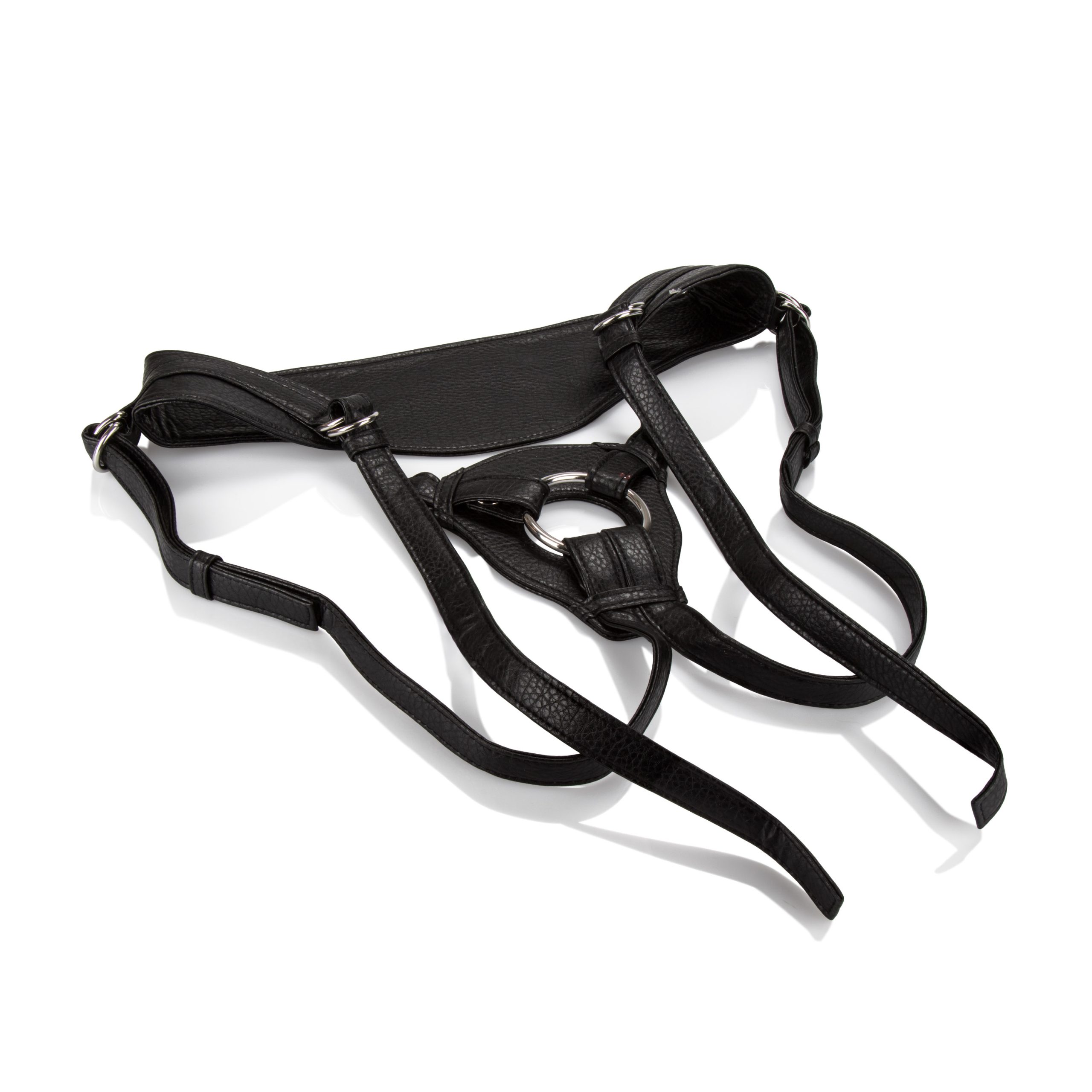 Her Royal Harness the Queen - Boxed - Image 2